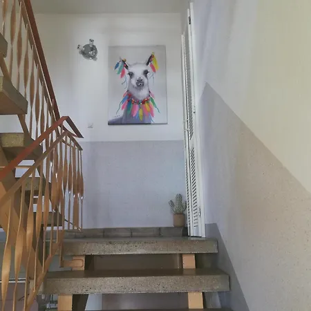 Apartment With Panoramic View